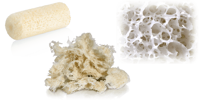 Arthroscopic Graft Delivery Kit Surgical Technique